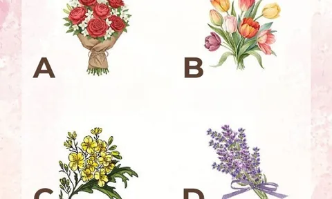 Trắc nghiệm tâm lý: Buông bỏ điều gì giúp bạn mở ra may mắn trong năm 2026?