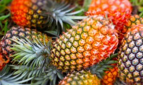 12 loại quả ít “ngậm” thuốc trừ sâu, giàu vitamin, được bán đầy chợ Việt với giá rẻ bèo, 10.000 đồng là có thể mua