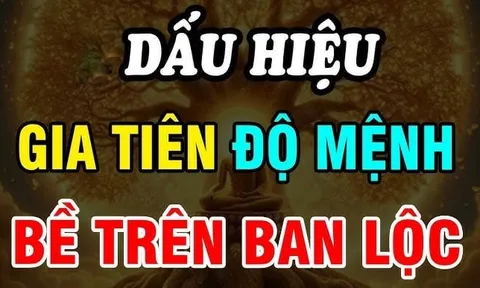4 dấu hiệu Tổ Tiên linh ứng, độ mệnh con cháu dễ phất như Rồng