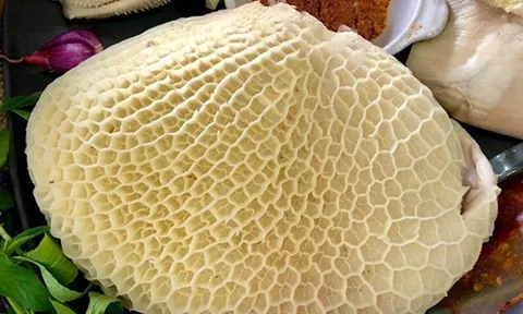 Đặc sản xưa ít người biết đến, giờ thành món khoái khẩu của dân thành phố nhờ hương vị lạ, giá 400.000 đồng/kg