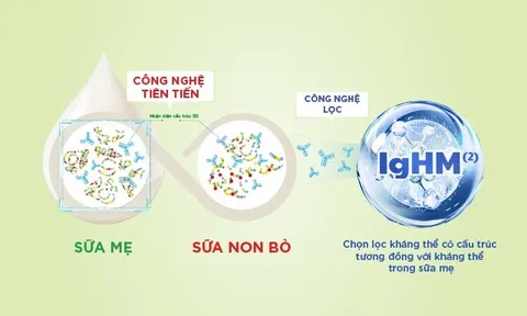 IgHM - hướng tiếp cận mới trong dinh dưỡng miễn dịch