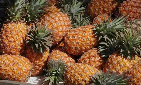 Cách ăn dứa hỗ trợ thải độc gan thận, giảm cân cấp tốc