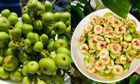 Người mắc 4 lại bệnh này ăn quả sung, cơ thể nhận được lợi ích bất ngờ