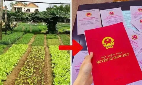 Từ năm 2026, chi phí chuyển đất vườn lên đất ở mất bao nhiêu tiền?