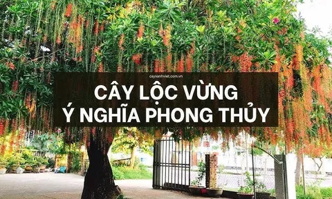 4 loại cây trồng trước nhà mang tới tiền tài phúc lộc: Càng ngày càng giàu có