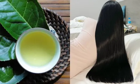 Cách gội đầu bằng nước chè xanh (trà xanh) giúp giảm gãy rụng, tóc con mọc tua tủa