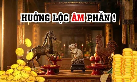 Lộc Âm Phần rất dày, 3 tuổi được gia tiên độ trì khơi thông Lộc Lá
