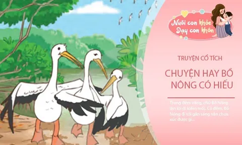 Truyện cổ tích: Bồ Nông có hiếu