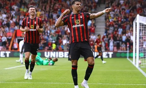 Mùa giải xuất sắc của Dominic Solanke