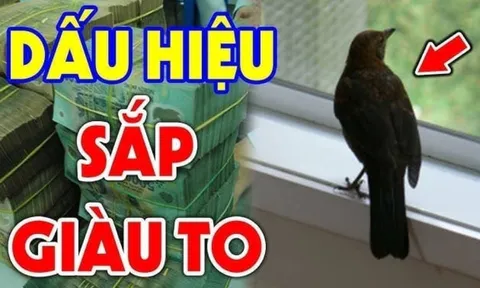 4 con vật được xem là “đệ tử” Thần Tài: Vào nhà nào, tài lộc kéo đến nhà đó