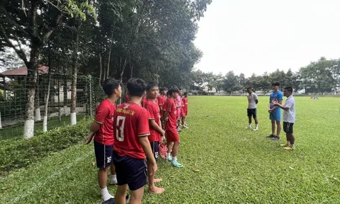 Học viện Park Hang-seo tiến cử cầu thủ sáng giá cho HAGL