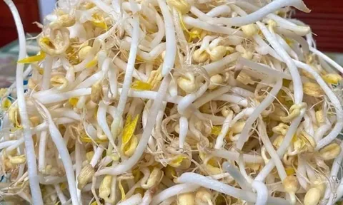 5 loại rau “vua thải độc” giúp thanh nhiệt mùa nắng nóng, chợ Việt bán rất nhiều