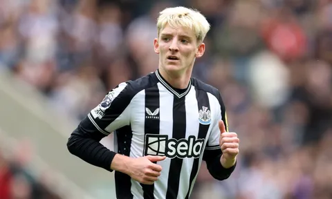 Không phải Joelinton, đây mới là cái tên hay nhất của Newcastle