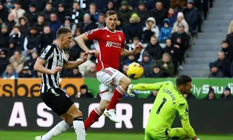 Quá choáng váng! Newcastle United thua liên tiếp