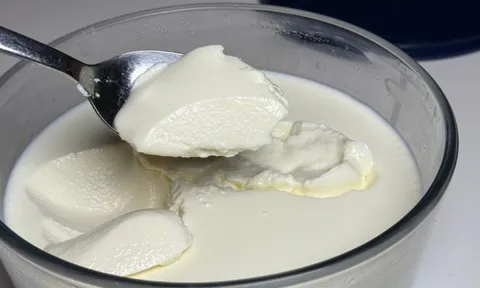 Thường xuyên ăn sữa chua nhưng mắc 5 sai lầm này chỉ rước bệnh vào người