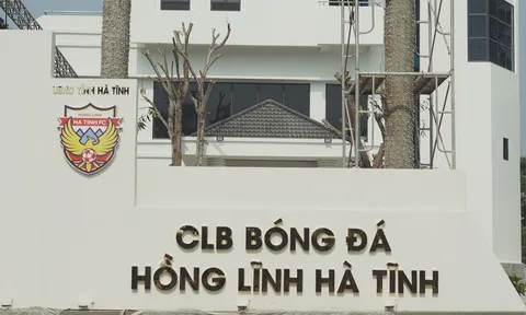 "Tôi không hiểu tại sao họ lại rơi vào cám dỗ"