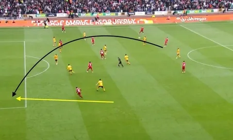 Joao Gomes - cái tên đang được Man United thèm muốn