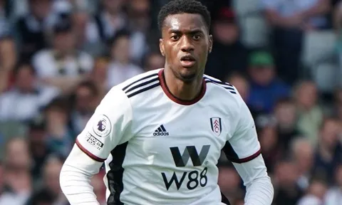 Bayern Munich nhắm trụ cột Fulham, không phải Joao Pahinha