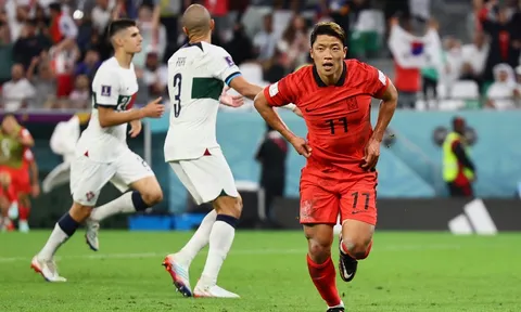 16 đội vào vòng knock-out World Cup 2022