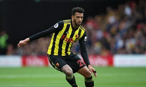 Hỏi mua trụ cột Watford, cựu vương Ligue 1 nhận cái kết đắng