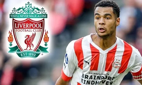 3 cách bố trí đội hình Liverpool với Gakpo