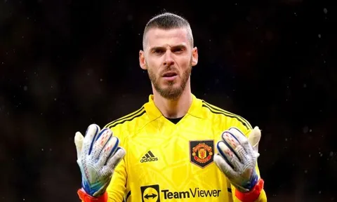 5 thủ môn xuất sắc nhất M.U kỷ nguyên Premier League gồm những ai?