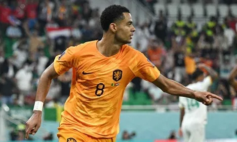Cú sốc vụ Dominic Solanke