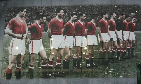 Chế giễu Manchester United, cổ động viên Newcastle nhận cái kết đắng