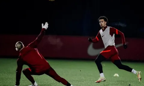 Van Dijk bá vai cạ cứng mỉm cười, Liverpool đón tin vui trung tuyến