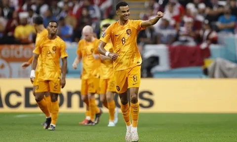 7 đội tuyển đã qua vòng bảng World Cup 2022