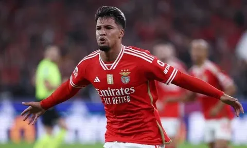 Arsenal duyệt chi 30 triệu euro cho tiền đạo Benfica