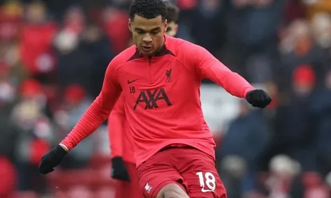 Gakpo sai lầm khi đến Liverpool quá sớm?