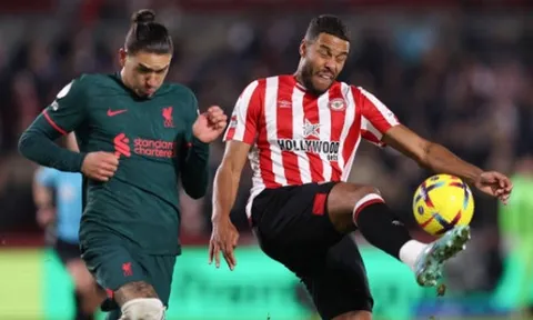 Bầy ong độc đáng sợ ở Premier League