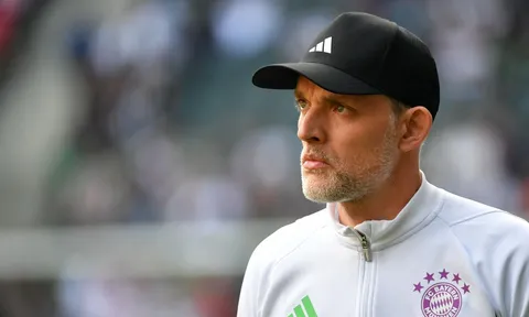 Bayern hụt Palhinha, Tuchel nói lời thẳng thắn