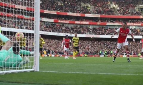 "Tôi thực sự phát ngán với Aubameyang"
