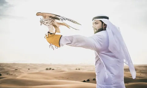 Chim “quý tộc” ở Qatar dự đoán kết quả trận khai mạc World Cup 2022
