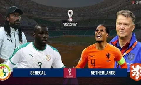 Chuyên gia chọn kèo Hà Lan thắng cách biệt Senegal 2 bàn
