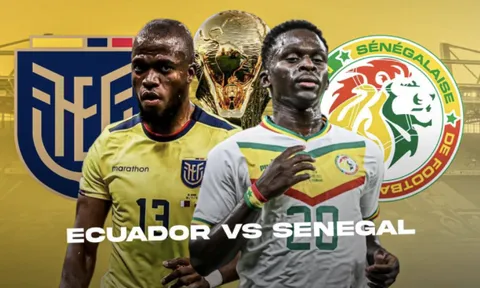 Chuyên gia chọn kèo World Cup 2022 Ecuador vs Senegal: Tin vào Nam Mỹ