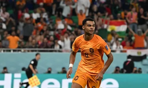 Đối tác sẵn sàng bán đứt Gakpo cho Man Utd
