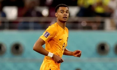Gakpo nói rõ cảm xúc khi được Man Utd quan tâm