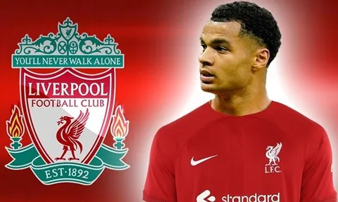 Cody Gakpo và chiến lược khôn ngoan của Liverpool