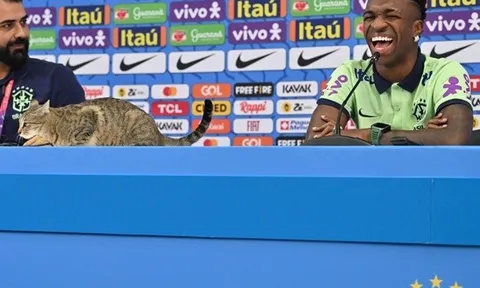 Con mèo đột nhập phòng họp báo, Vinicius cười phá lên
