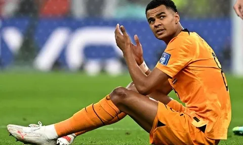 Điều đặc biệt giúp Man United đánh bại Arsenal, Real ở thương vụ Gakpo