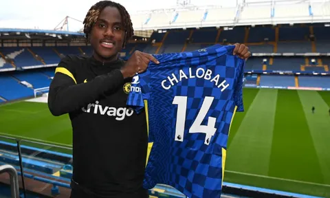 Được Chelsea giữ chân, Chalobah hé lộ bí quyết thành công