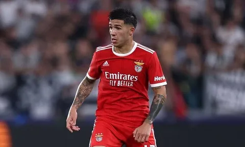 "Liverpool đã cử tuyển trạch viên theo dõi Enzo Fernandez"