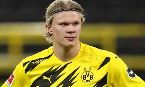 Top 8 bản hợp đồng thành công nhất của Dortmund trong tháng 1