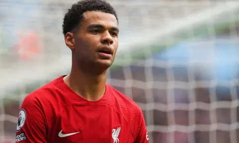 Fabinho ca ngợi tân binh Liverpool