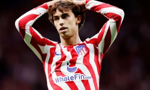 "Felix sẽ không giải quyết vấn đề của họ"