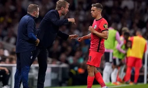 Ferdinand: "Tôi sẽ ngạc nhiên nếu Potter không chiêu mộ cậu ấy"