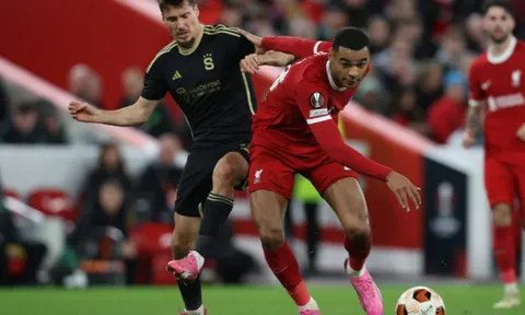 Chuyên gia khen tấm tắc sao Liverpool